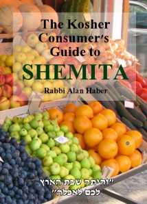 shemita cover for site
